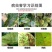 40%苯醚甲环唑炭疽叶斑病锈病黑斑病烟煤病杀菌剂