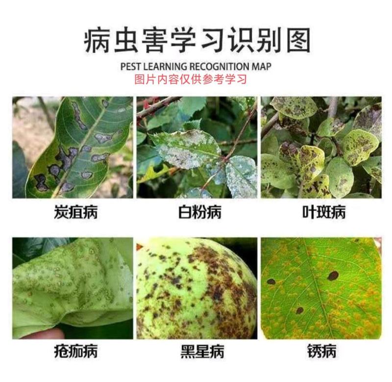 40%苯醚甲环唑炭疽叶斑病锈病黑斑病烟煤病杀菌剂