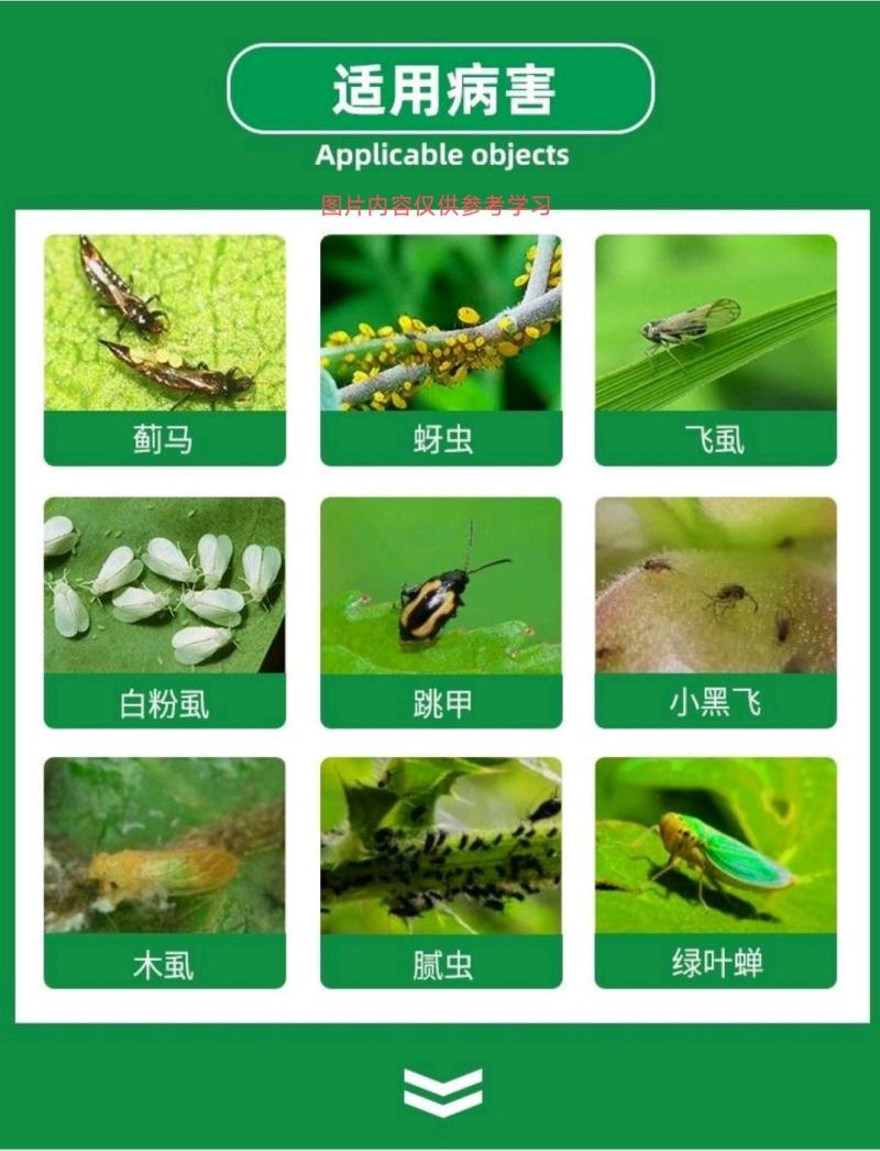 70%啶虫脒水分散粒径防治蓟马蚜虫木虱粉虱潜叶蛾青虫杀虫