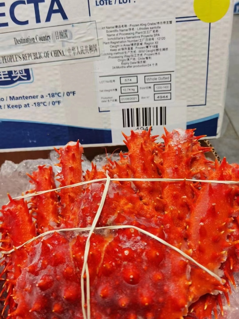 帝王蟹900克-2000克规格齐全送礼佳品欢迎来电