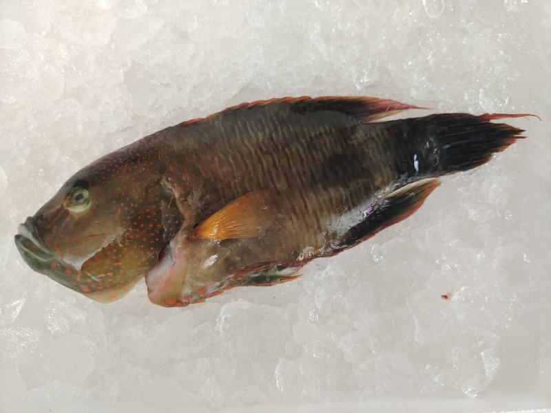 海鲜大礼包，福兔贺岁礼盒，海丰佳（家）宴套餐