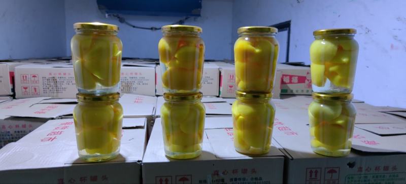 黄桃罐头有雪要的提前联系，货源紧俏