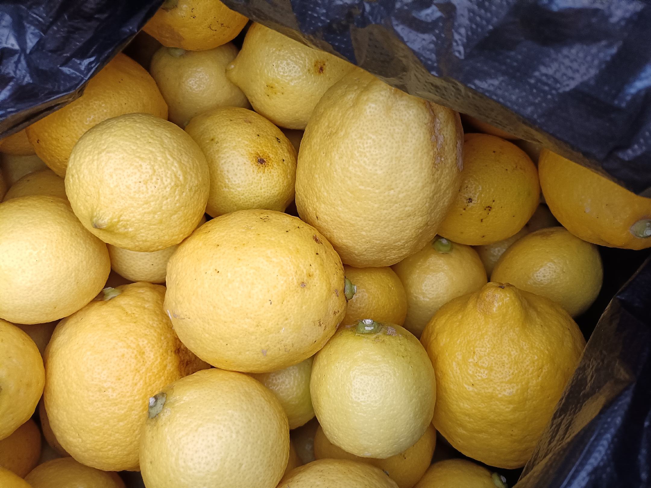 柠檬饮品与天然柠檬对比图