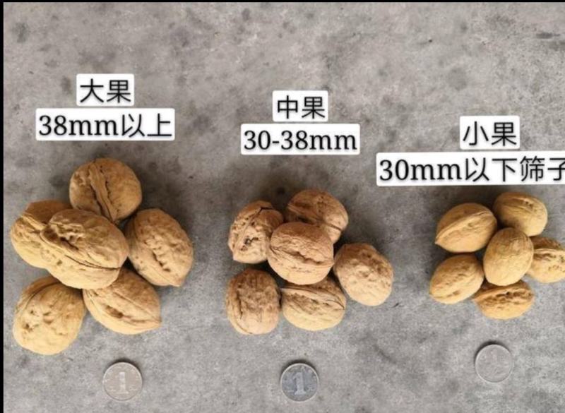 包邮特价批发新疆薄皮散装原味生核桃33熟核桃奶香草本椒盐