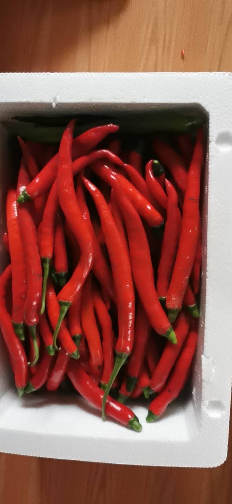 福建精品二荆条辣椒中微辣适合做辣椒酱欢迎选购