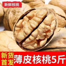 包邮新货新疆阿克苏薄皮核桃原味散装干果量大优惠一件代发