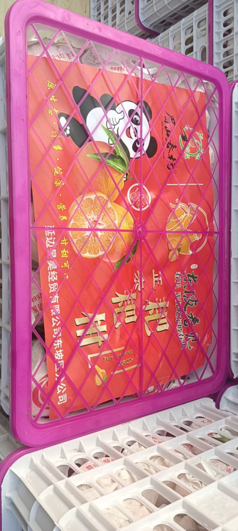 春见，耙耙柑。