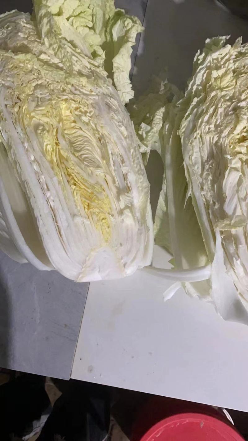 青杂三
