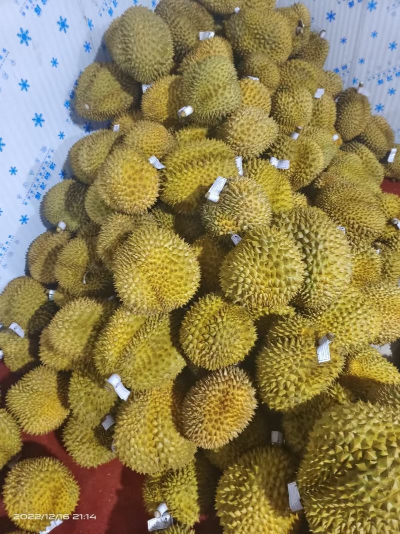 专业榴莲批发