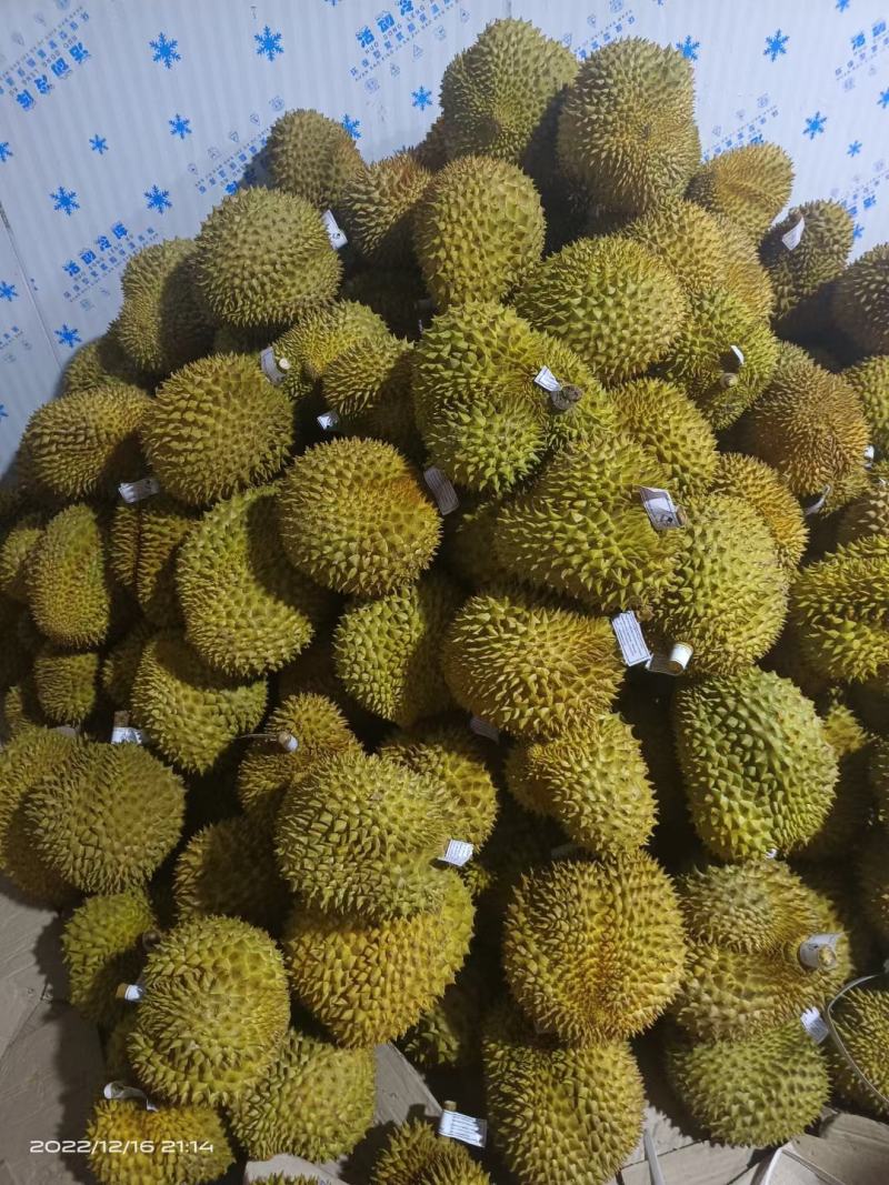 专业榴莲批发