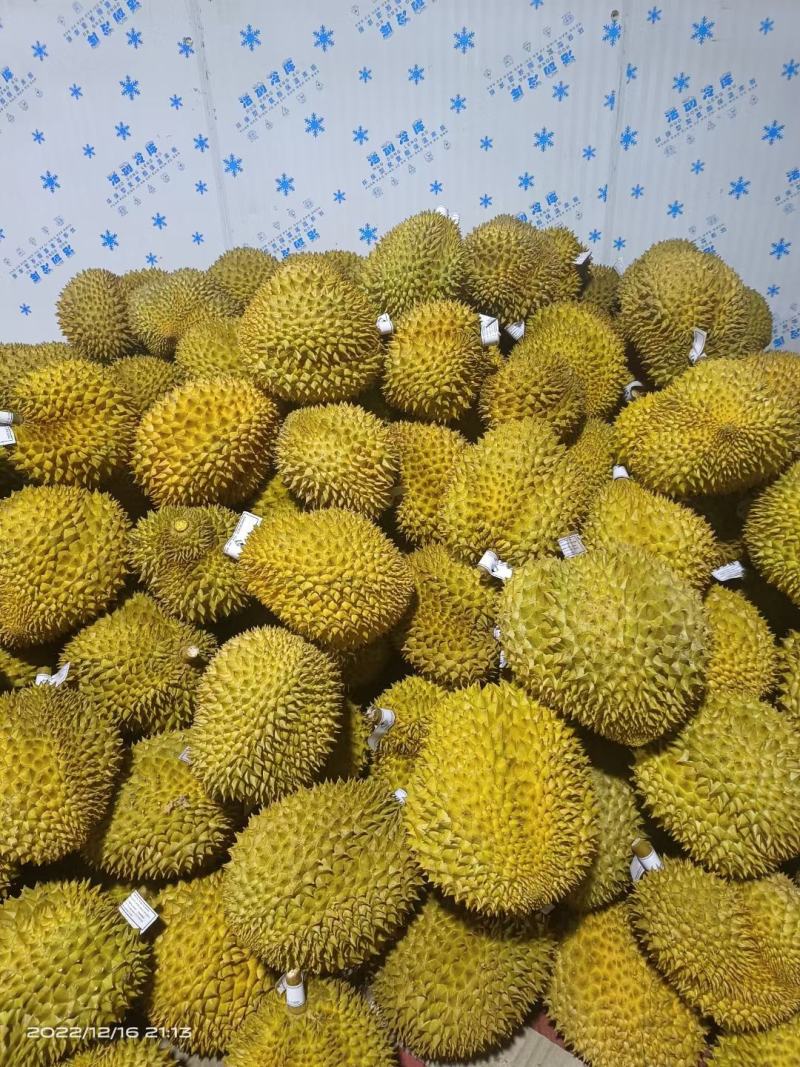 专业榴莲批发