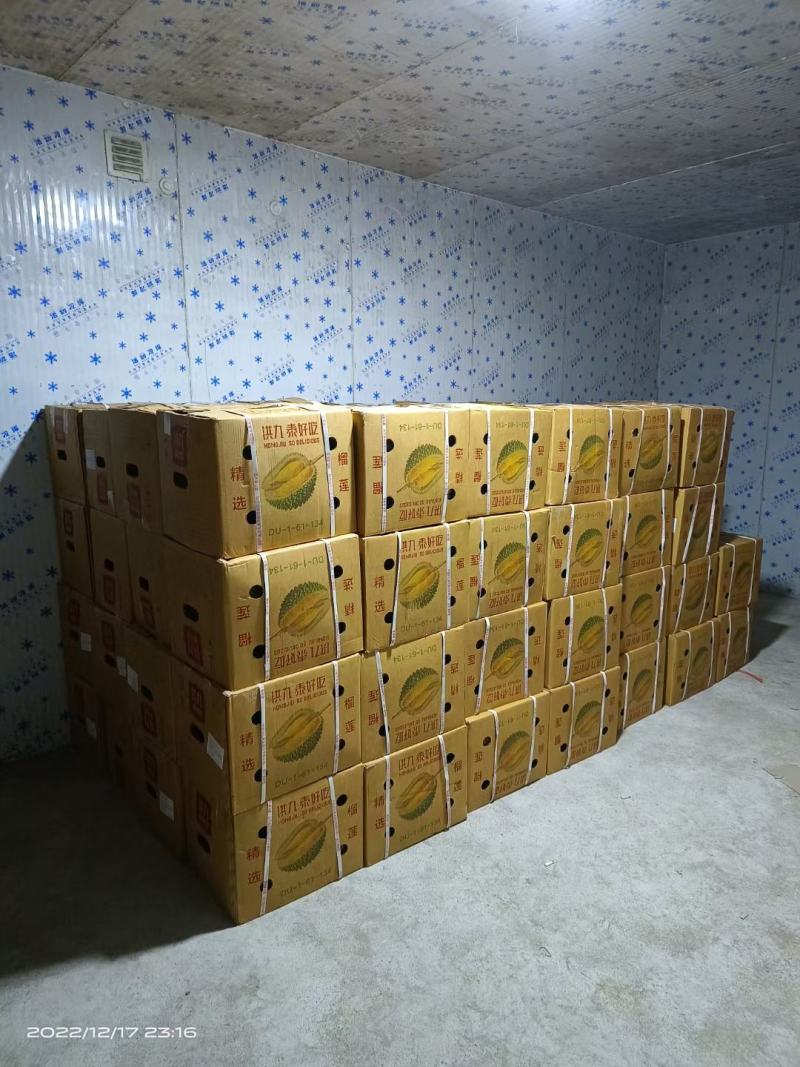 专业榴莲批发