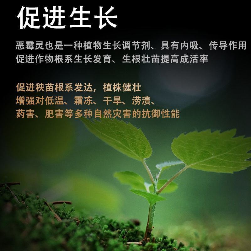 30%甲霜恶霉灵水稻苗期立枯病农药杀菌剂正品包邮