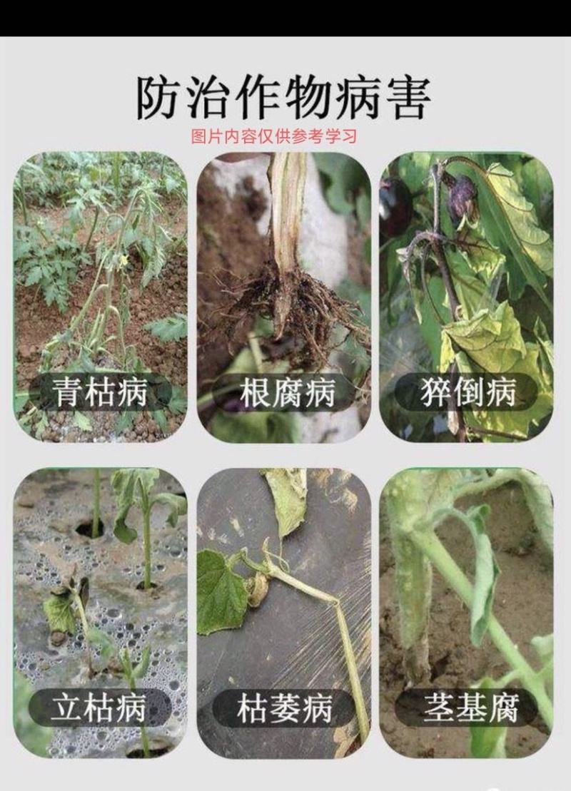 30%甲霜恶霉灵水稻苗期立枯病农药杀菌剂正品包邮