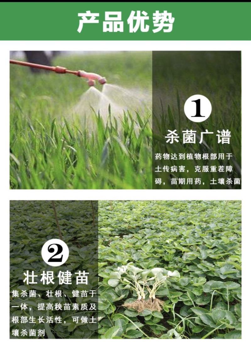 30%甲霜恶霉灵水稻苗期立枯病农药杀菌剂正品包邮