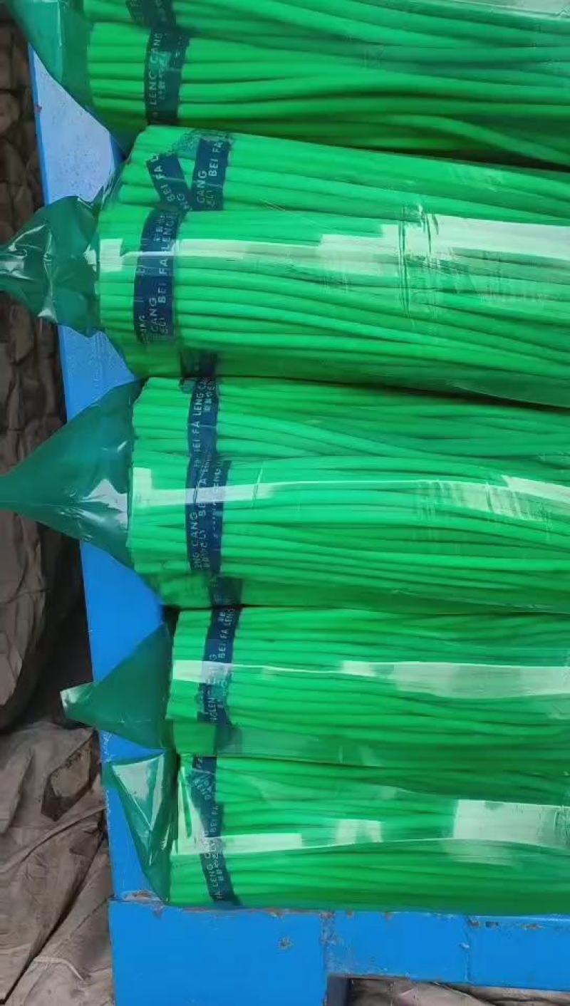 【红帽蒜薹】金乡蒜薹梢青条长无斑质量好，价格低，
