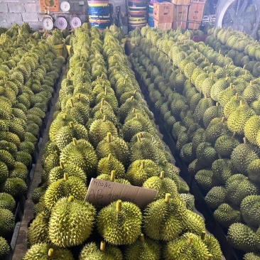 榴莲
