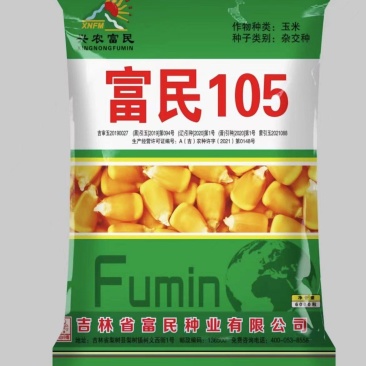 兴农富民玉米种子富民105穗长抗倒能力强对接各大批