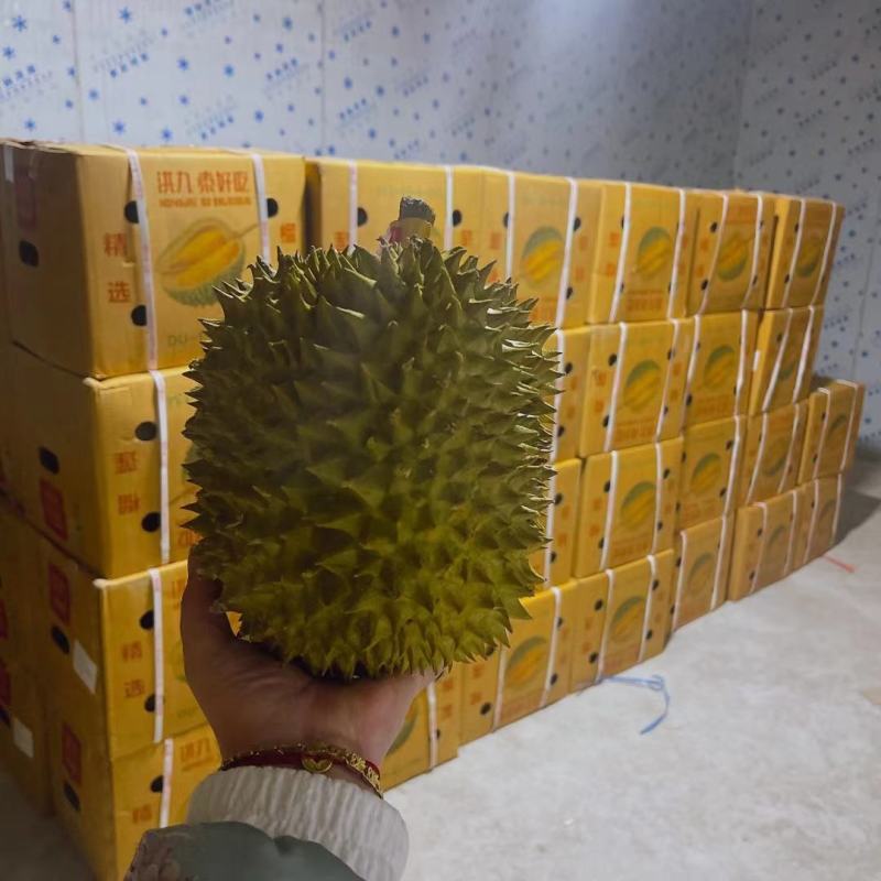 榴莲