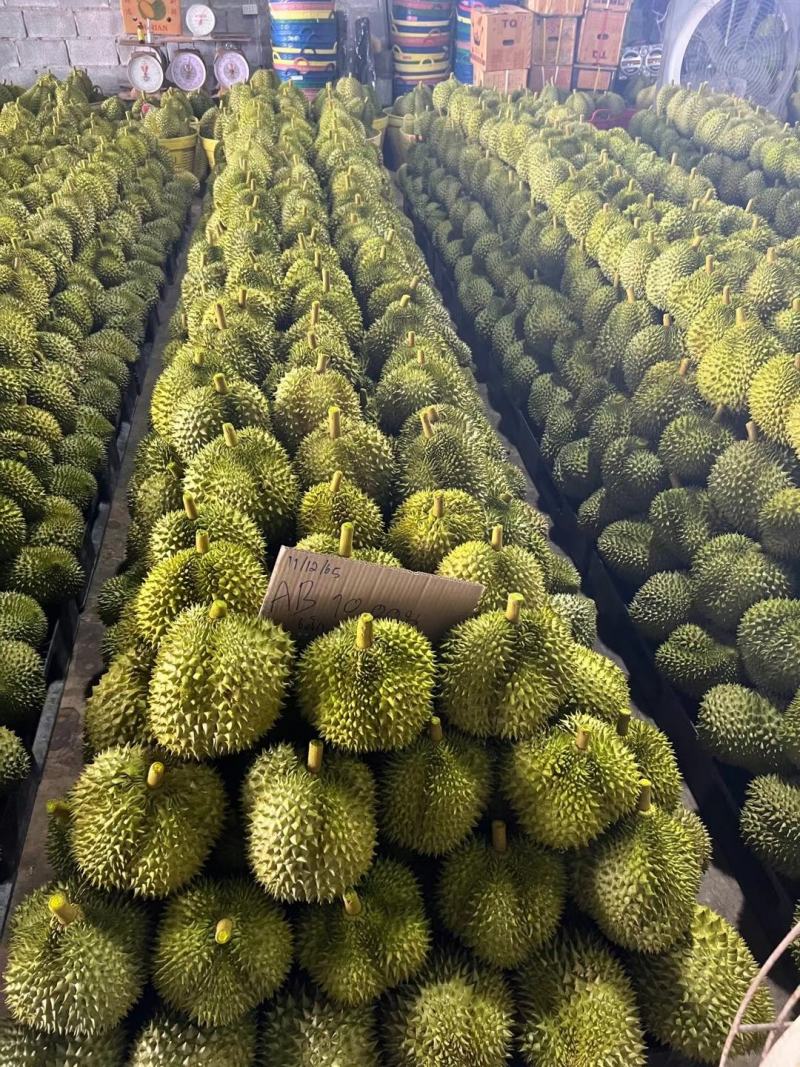 榴莲