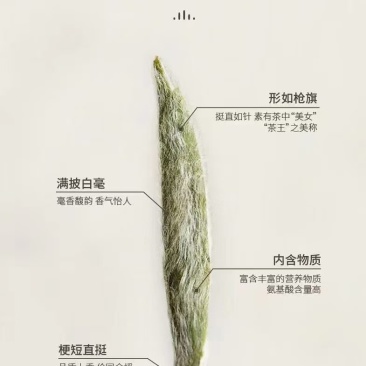 多种茶叶