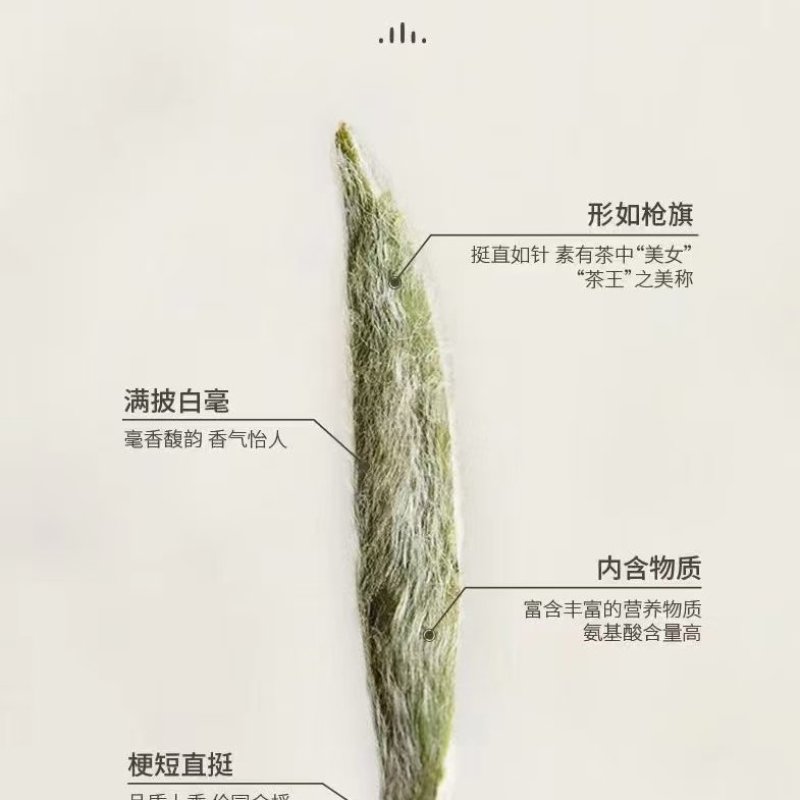 多种茶叶