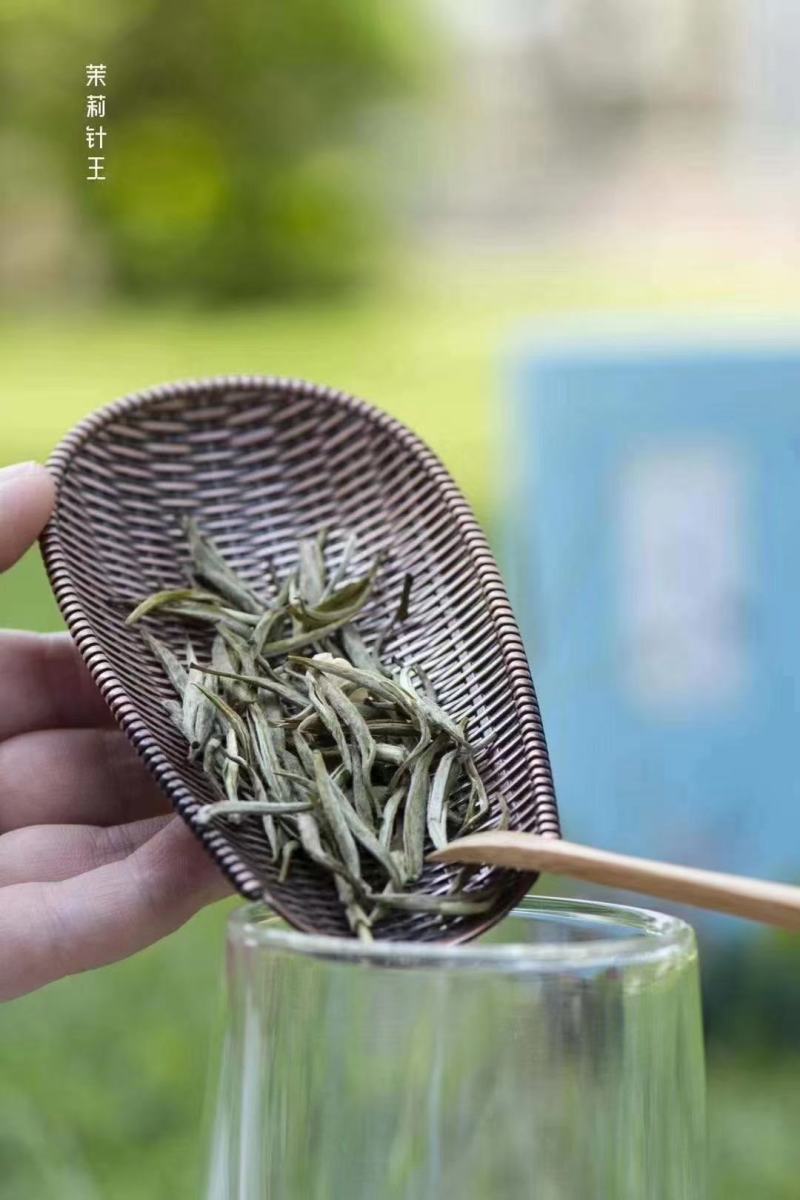 多种茶叶