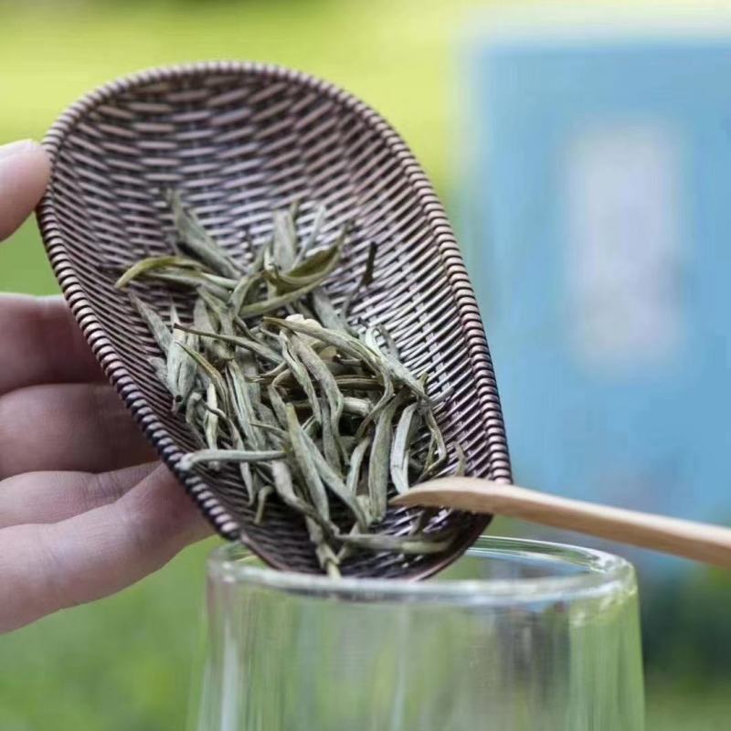 多种茶叶