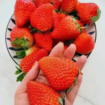 草莓