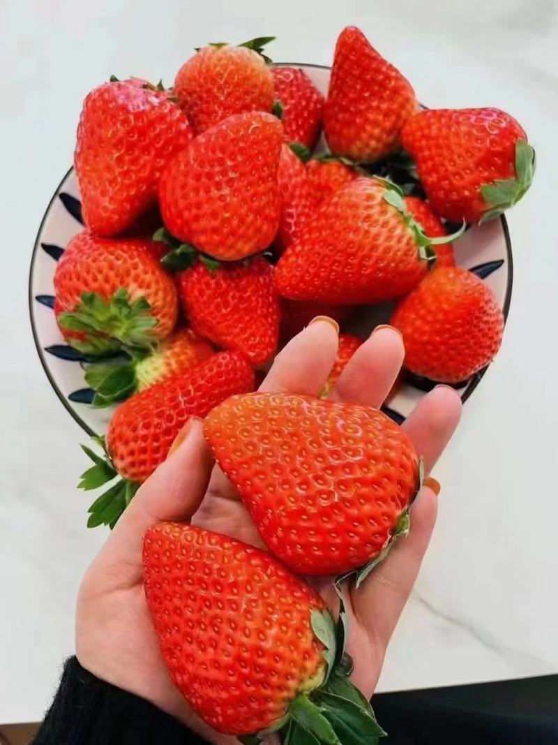 草莓
