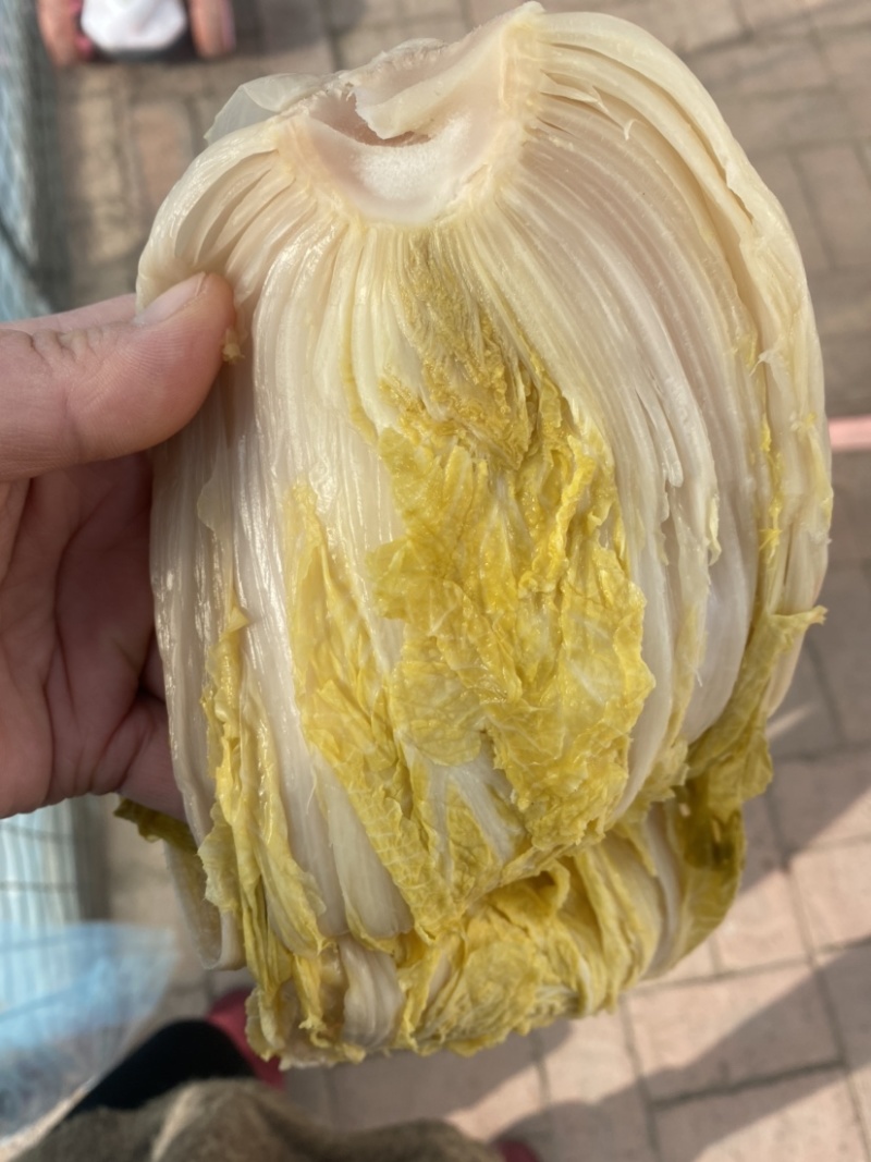 东北酸菜