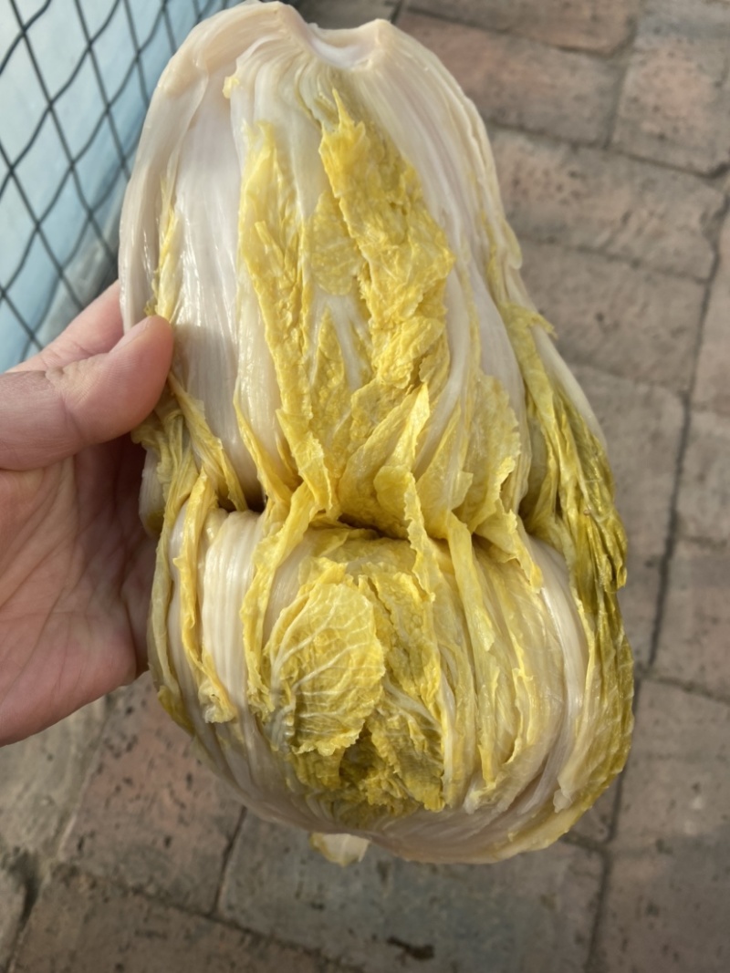 东北酸菜
