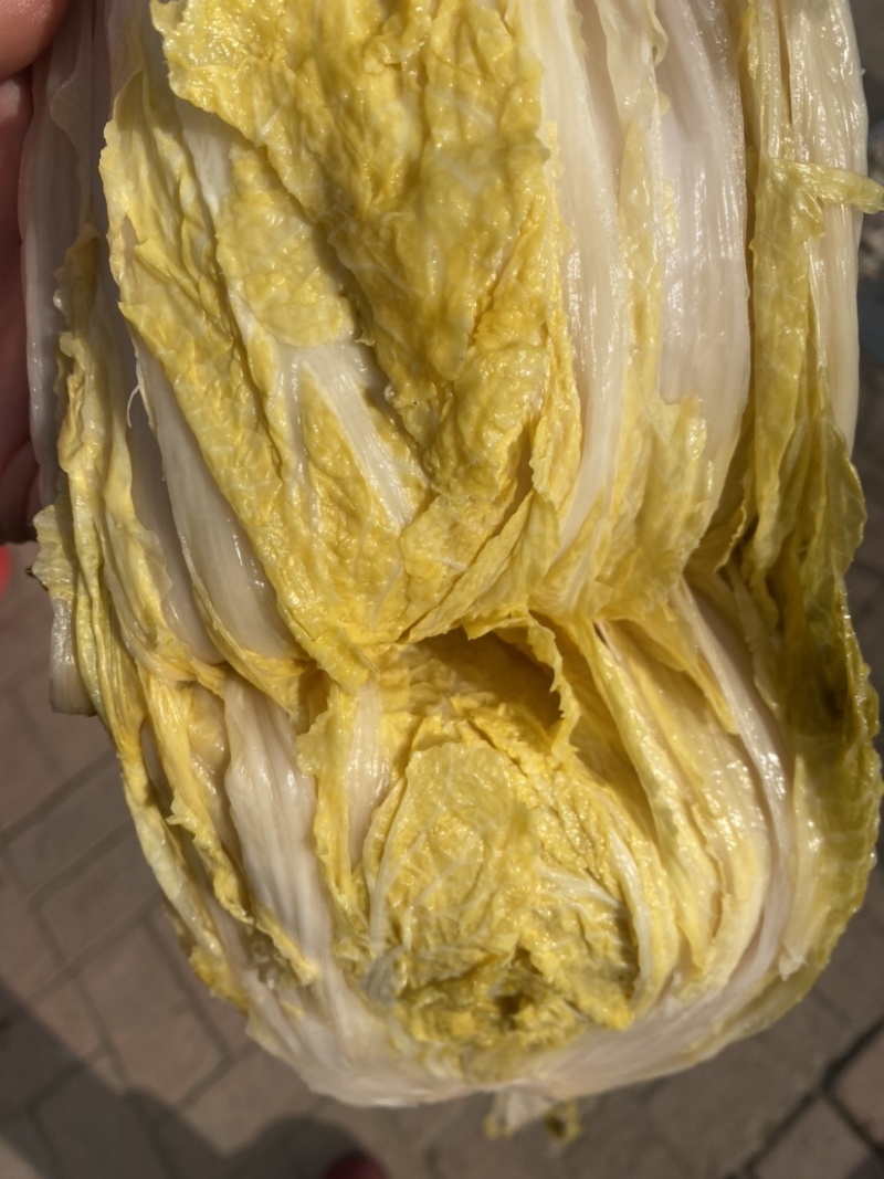 东北酸菜