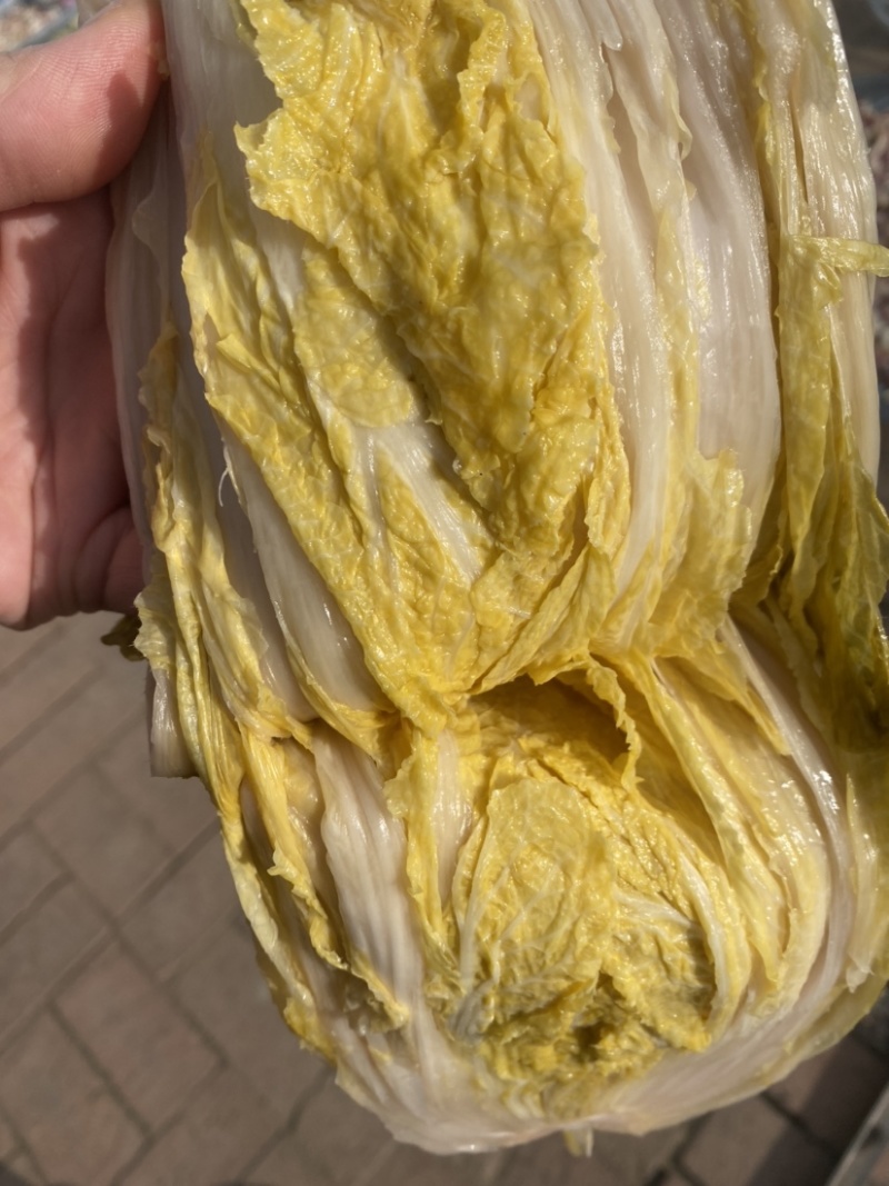 东北酸菜