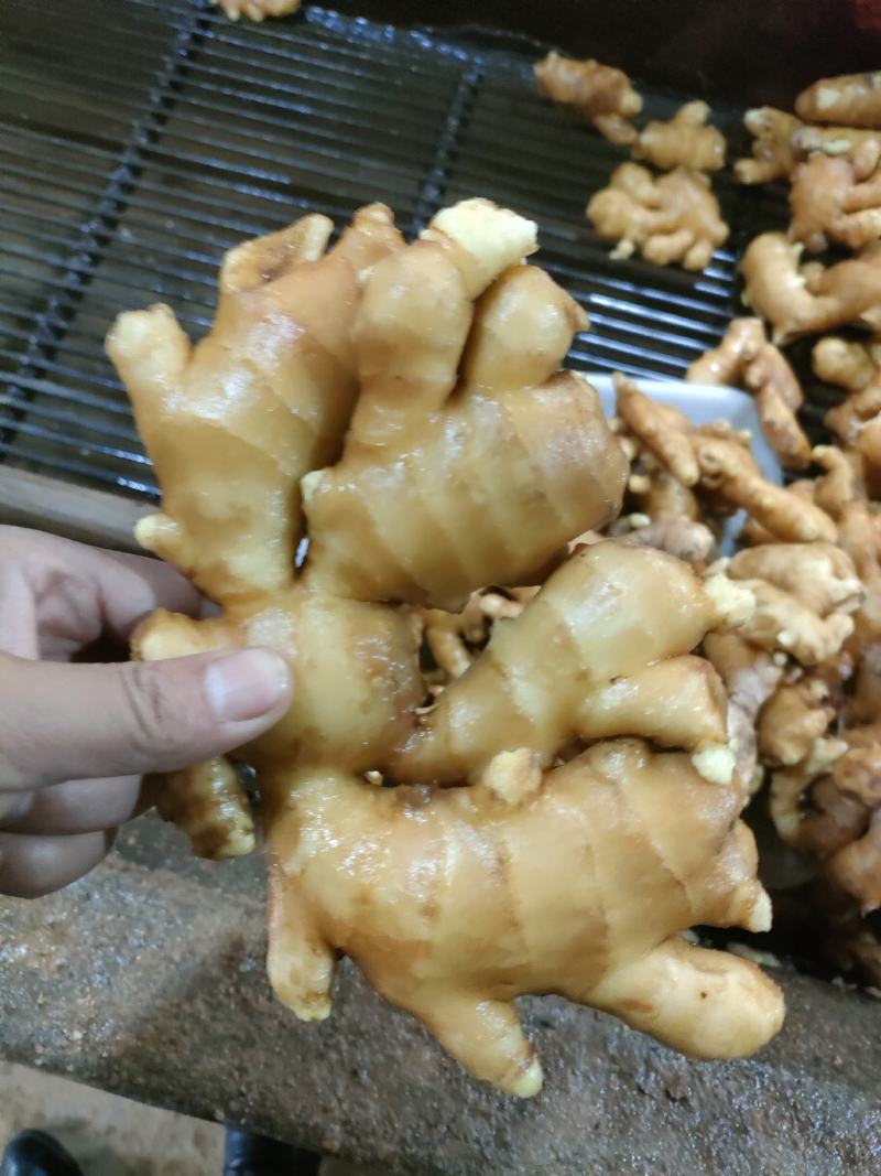 山东大黄姜，大量有货。电商团购，欢迎来电。