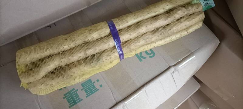小白嘴山药我地大量批发供应各个市场，地头价直接出货