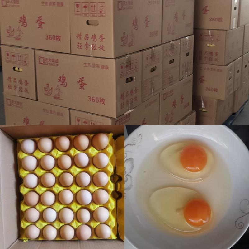 安徽肥西土鸡蛋质量好价格优常年有货欢迎老板前来采购