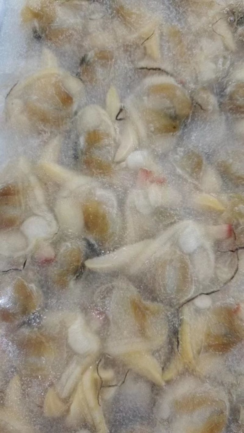 鲐鲅鱼