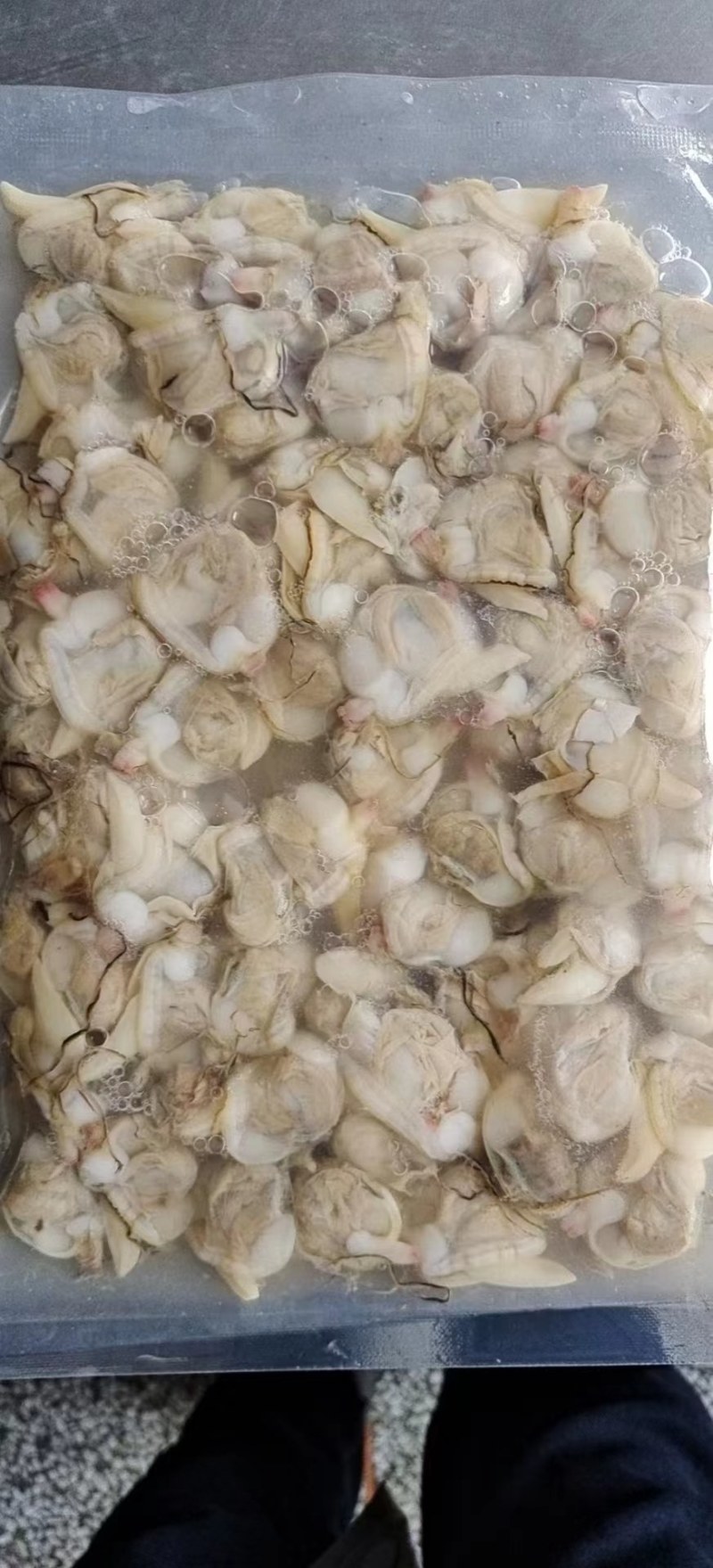 鲐鲅鱼