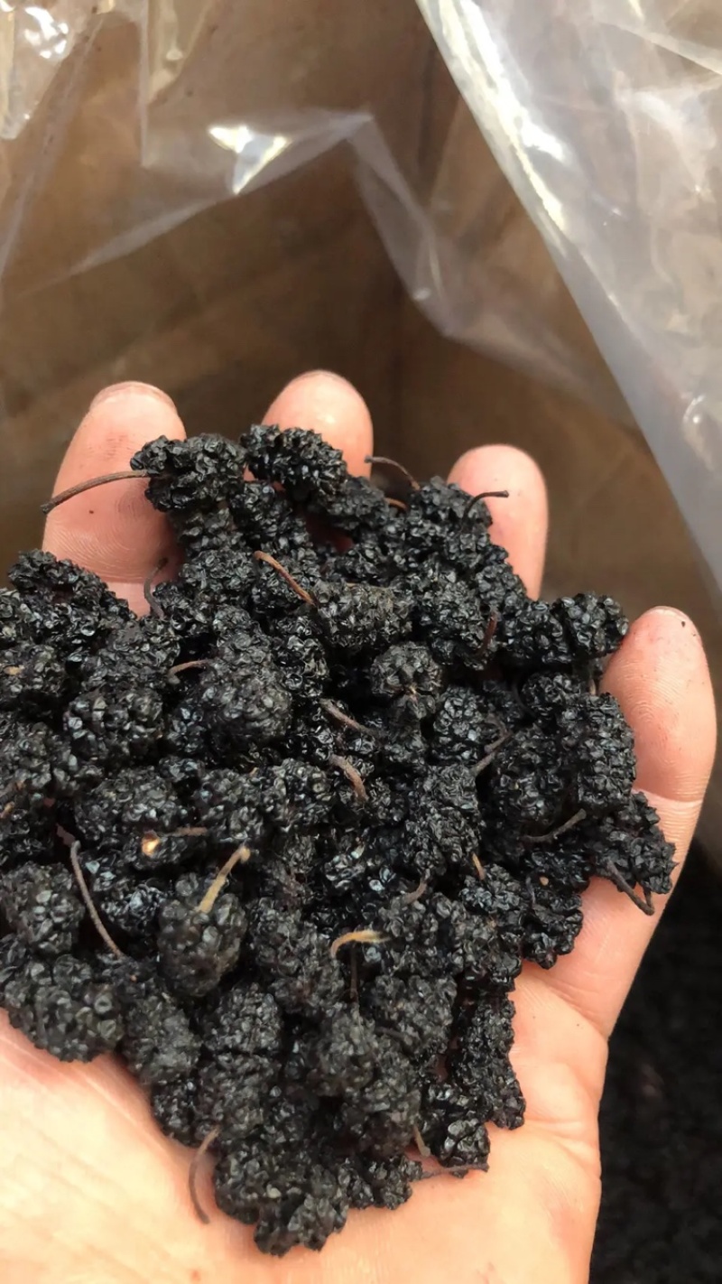 【黑桑葚】河北精品桑葚干产地直供物美价廉品质保证