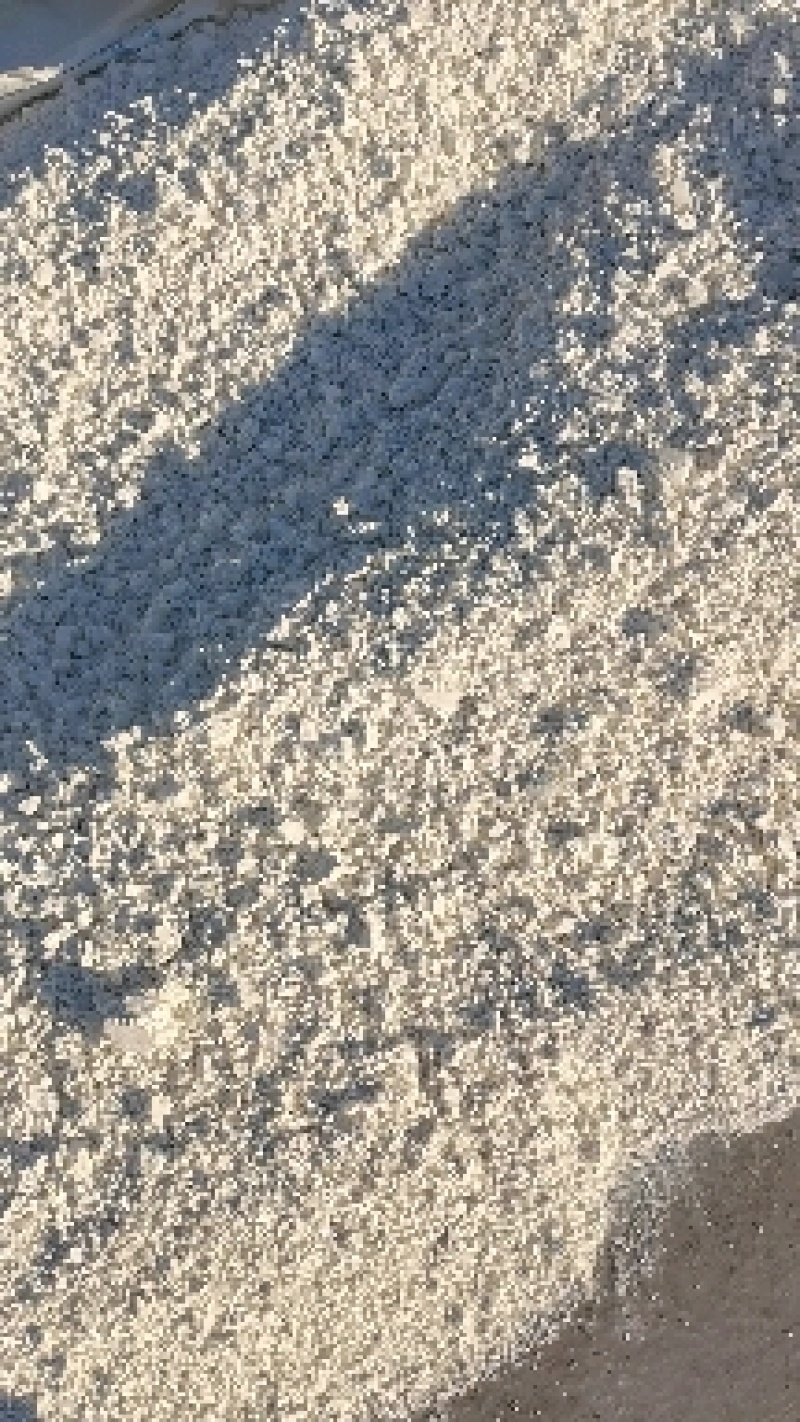 纯红薯粉条卢龙特产优质粉条