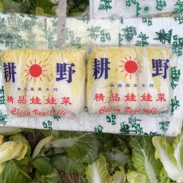 小娃娃菜