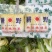 小娃娃菜