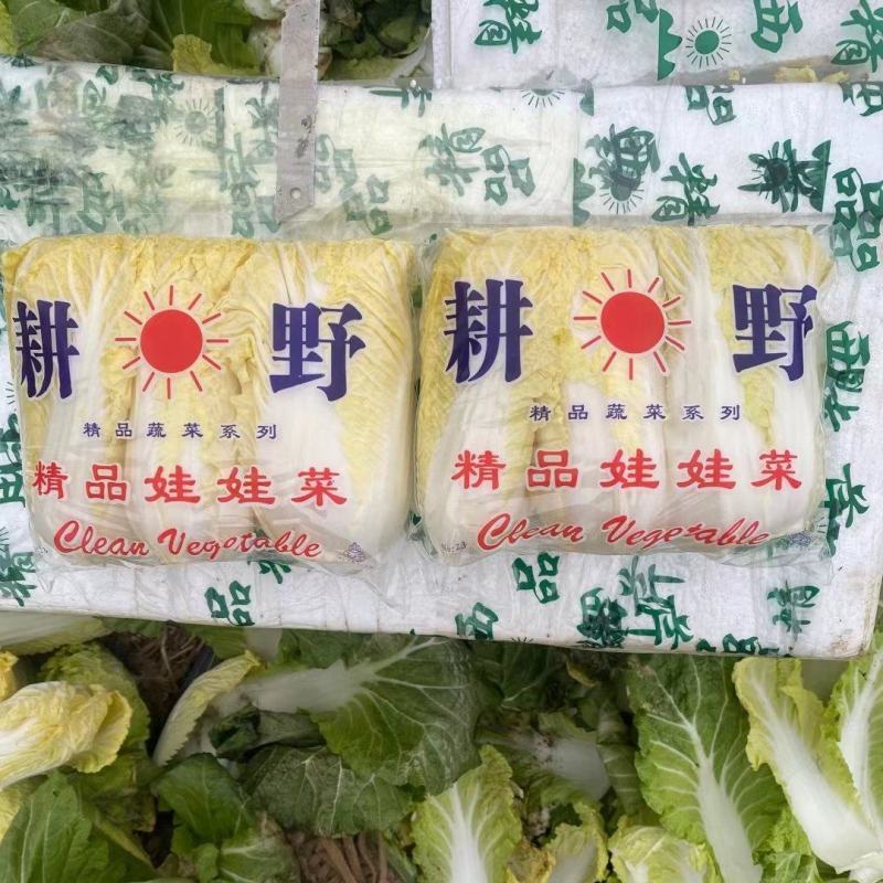 小娃娃菜