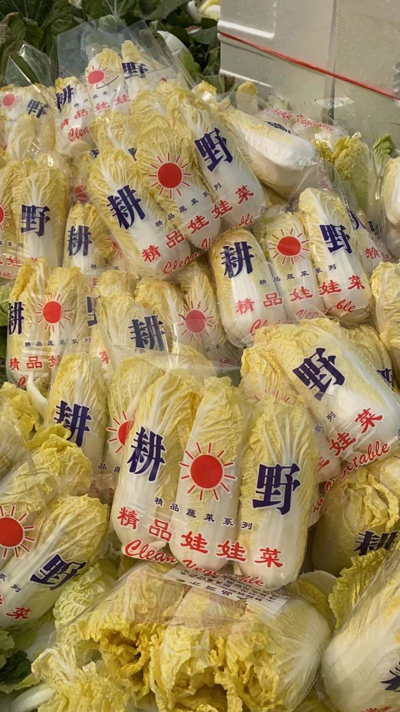 小娃娃菜