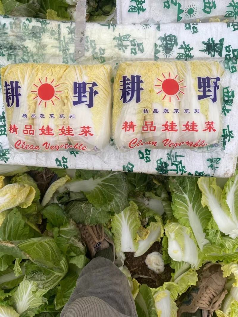 小娃娃菜