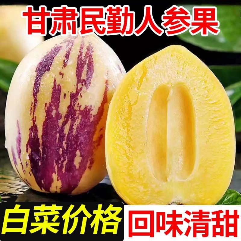 人参果甘肃民勤沙漠人参果长果圆果低糖原味人生果