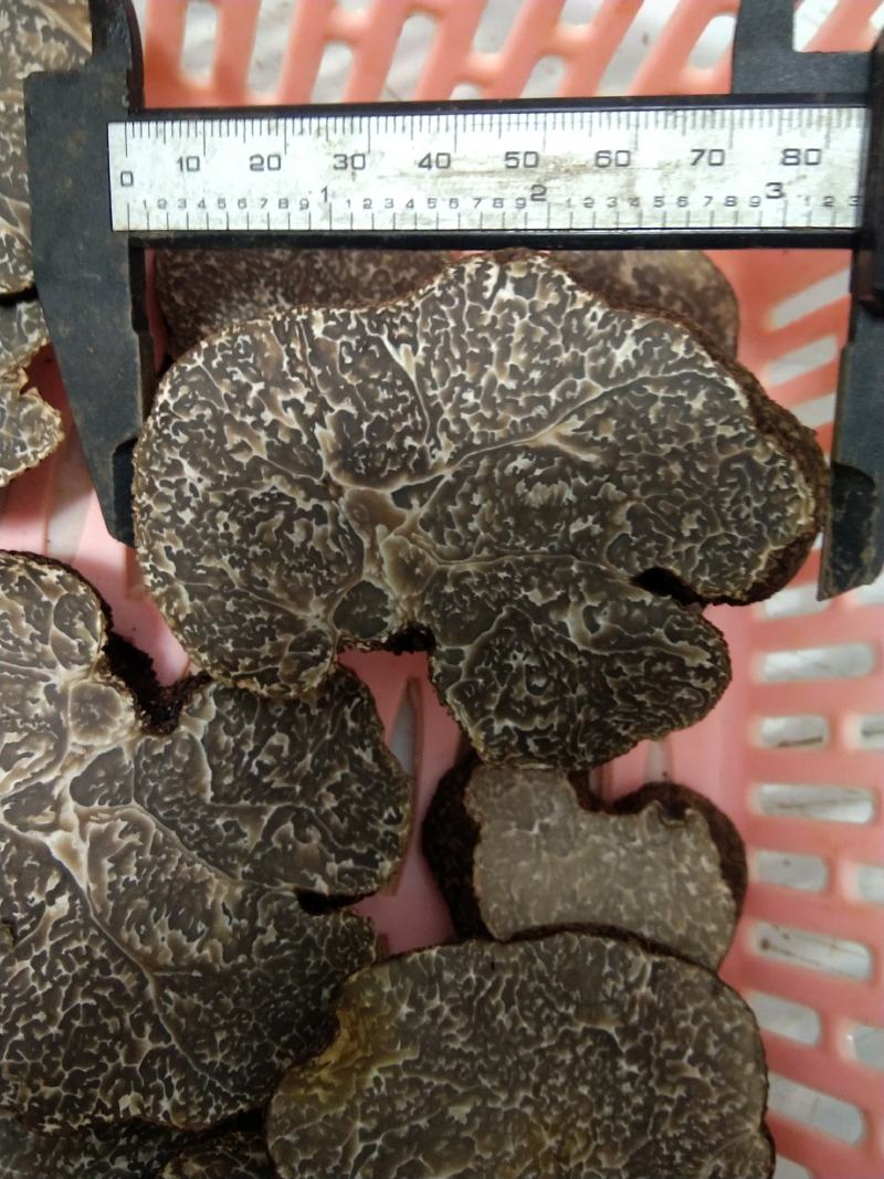 云南黑松露干片，大量上市自己加工自己岀售。货源充足