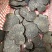 云南黑松露干片，大量上市自己加工自己岀售。货源充足