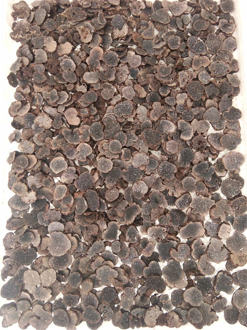 云南黑松露干片，大量上市自己加工自己岀售。货源充足